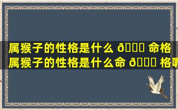 属猴子的性格是什么 🐒 命格「属猴子的性格是什么命 🐛 格呢」